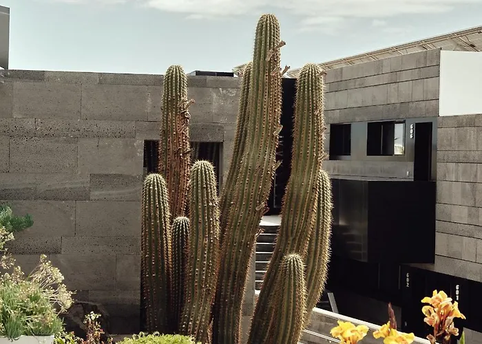 لا إيسلا أي إل مار البوتيكي فندق بويرتو ذيل كارمين